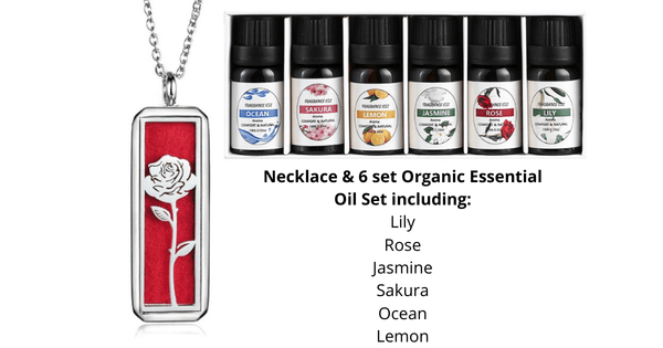 Enchanted Aromatherapy Rose Essential Oils Diffuser Necklace set