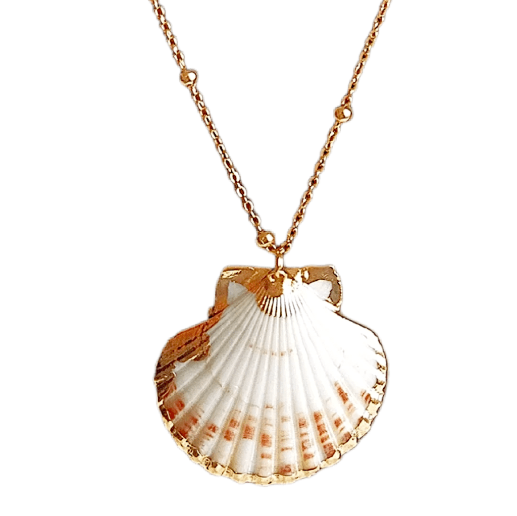 Scallop Seashell gold trim gold necklace - Ella Moore