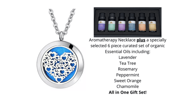 Charming Love Heart Aromatherapy Essential Oils Diffuser Necklace & Oils set - Ella Moore
